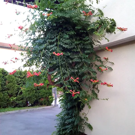 Konukevi Bbq Ljubljana