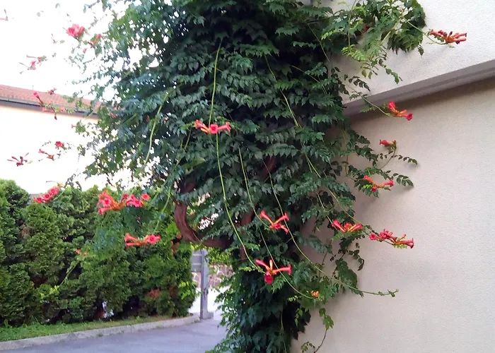 Maison d'hôtes Bbq Ljubljana