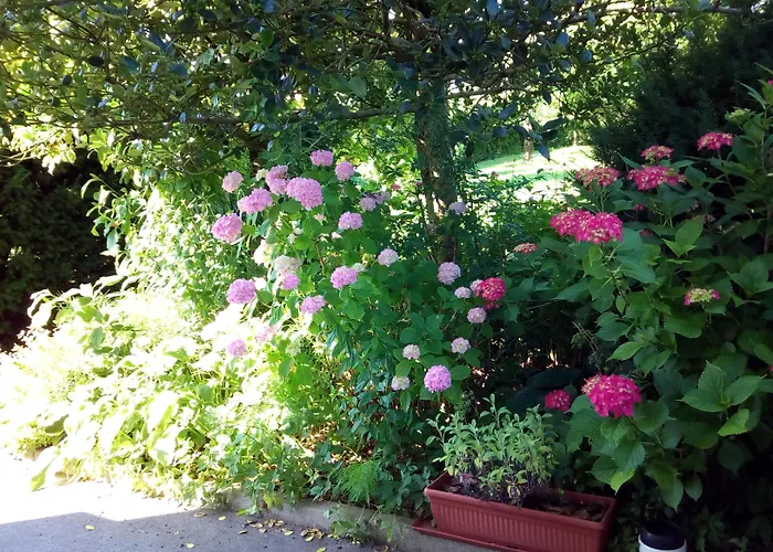 Bbq לובליאנה